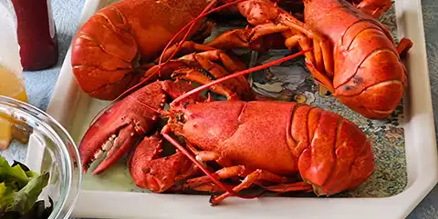 Lobster_Canada_NovaSoctia_Halifax